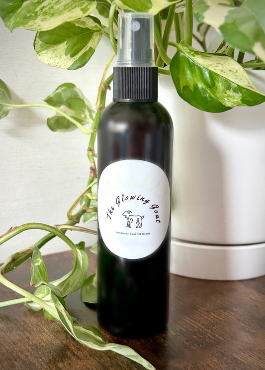 Bug Off Bug Repellent Spray ๐ฆ
