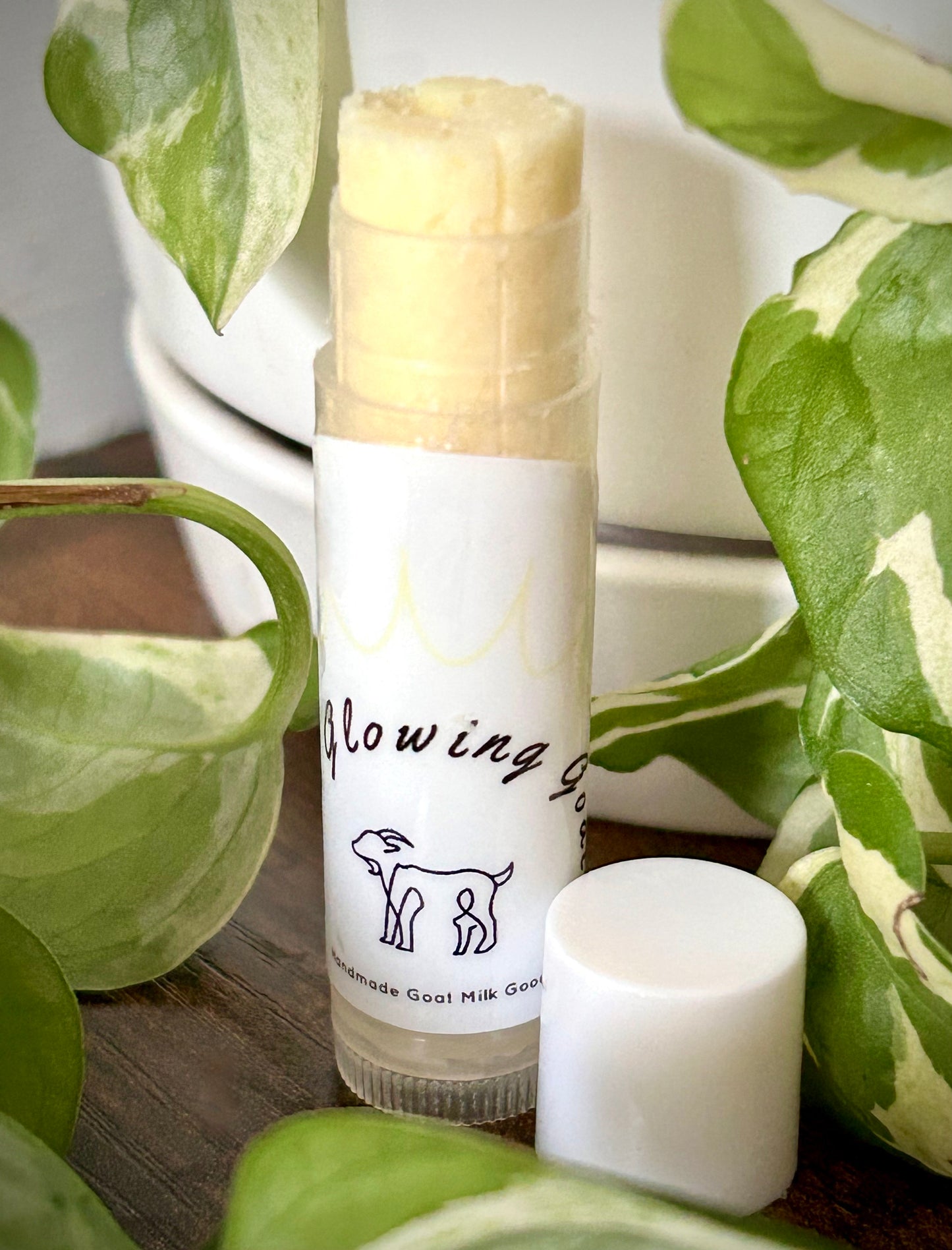Lip Balm
