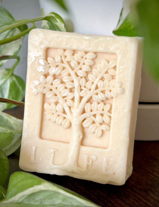 Lavender Cedarwood Body Soap Bar